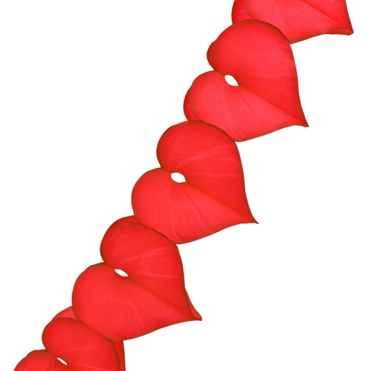 Paper garland red hearts shown close up