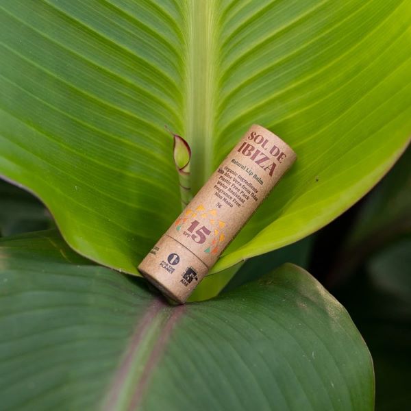 Plastic-free natural sunscreen iip balm in cardboard packaging shown resting on green leaves
