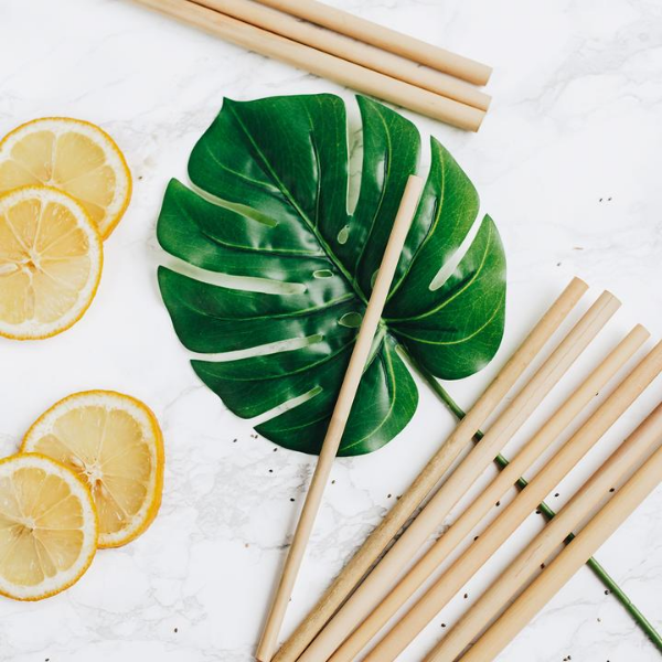 Bamboo straw set 22 cm