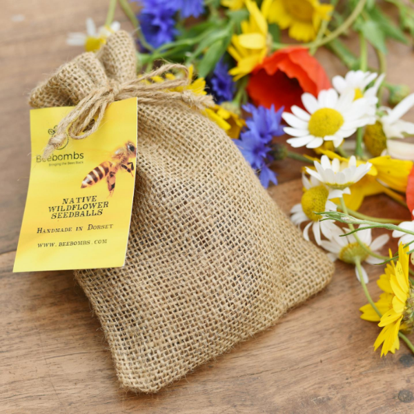 Beebombs seedballs