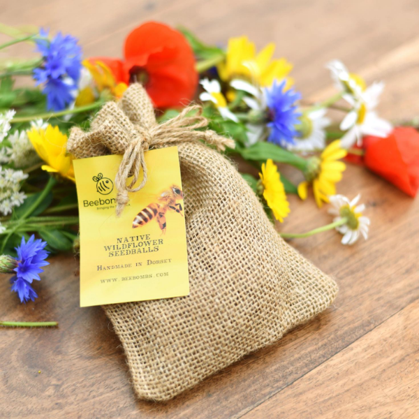 Beebombs seedballs