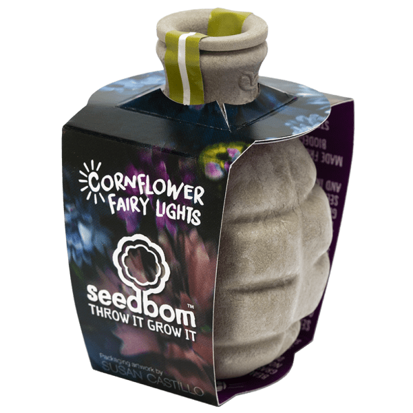 Seedbom Cornflower fairy lights