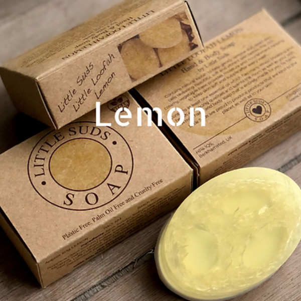 Little loofah soap bar Ocean