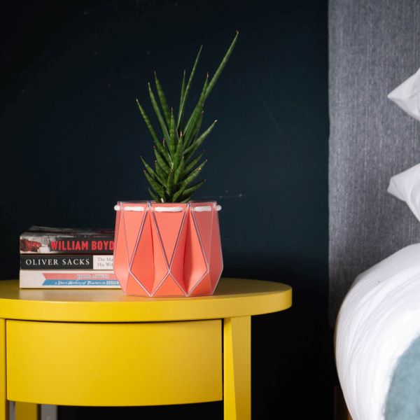 POTR self watering plant pot small in coral on table with plant inside