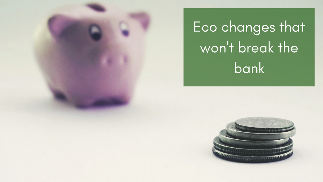 Piggy bank and loose change with text saying 'eco changes that won't break the bank'