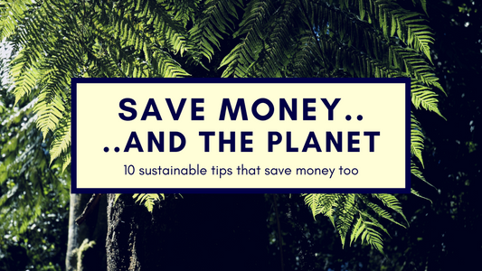 leaves in background with text saying 'Save money....And the planet. 10 sustainable tips that save money too.'