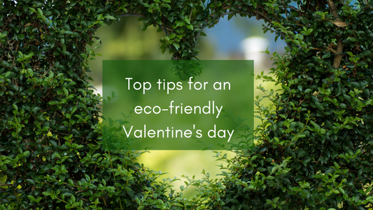 Heart shape in green leaves saying 'Top tips for an eco-friendly Valentine's day'