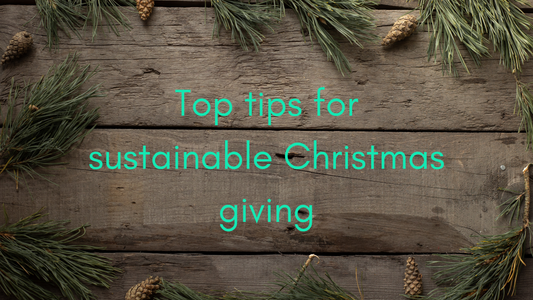 Wooden background with Christmas leaves and text saying 'Top tips for sustainable Christmas giving'