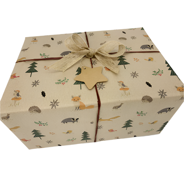 Handmade recycled Christmas wrapping paper in Woodland friends (brown kraft paper with hand-drawn style woodland creatures and Christmas trees) on a wrapped gift with twine and a natural jute bow and paper star tag