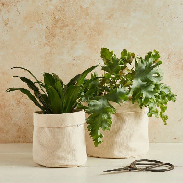 Eco-friendly canvas plant pot/bucket set