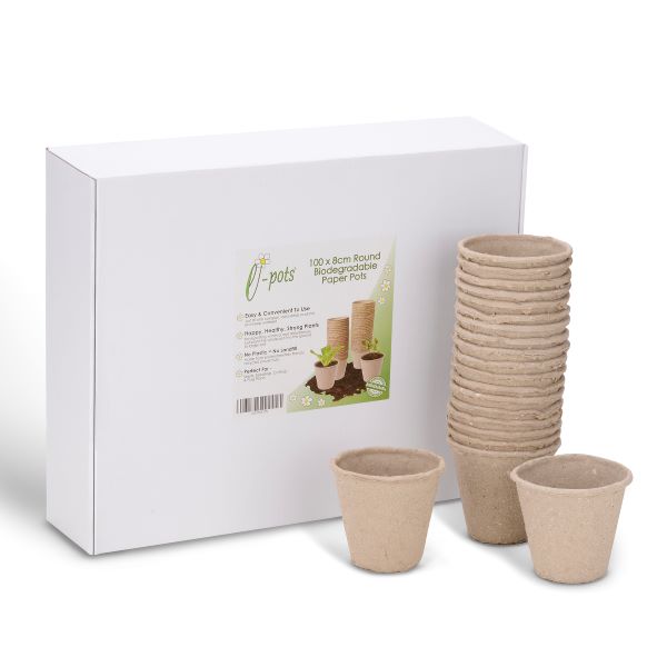 Several biodegradable plant pots next to cardboard packaging