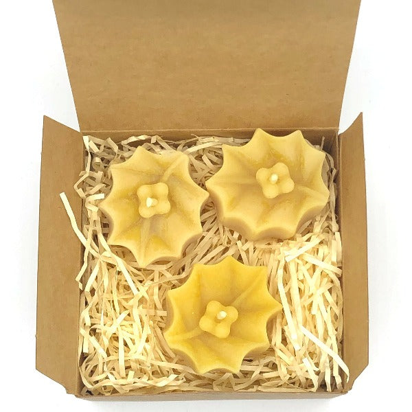 Beeswax candle gift set holly