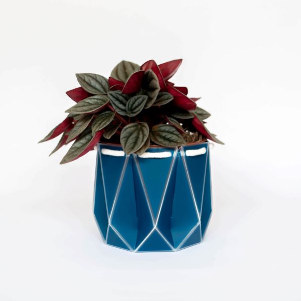 POTR self watering plant pot small in navy with plant inside