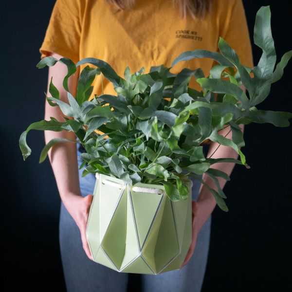 POTR self watering plant pot in sage being held and with plant inside