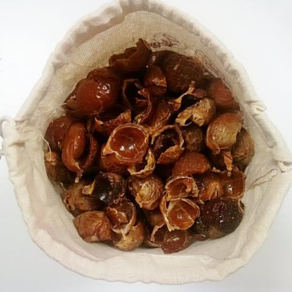 Soapnut shells 500g in cotton bag shown open with soapnuts inside