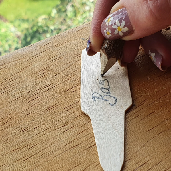 Eco-friendly wooden plant marker being written on with pencil