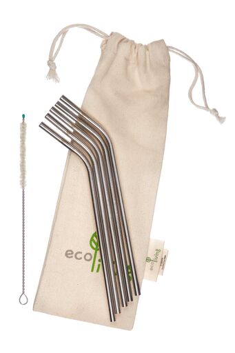 Eco-friendly stainless steel straw set angled