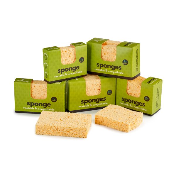 Compostable sponges
