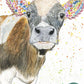 Clover Cow eco-card