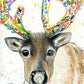 Eco Christmas card Rupert the Reindeer