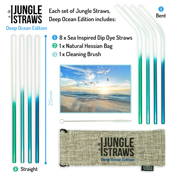 Reusable stainless steel straw set info Deep Ocean