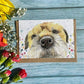 Eco-friendly card Tilly the Border Terrier
